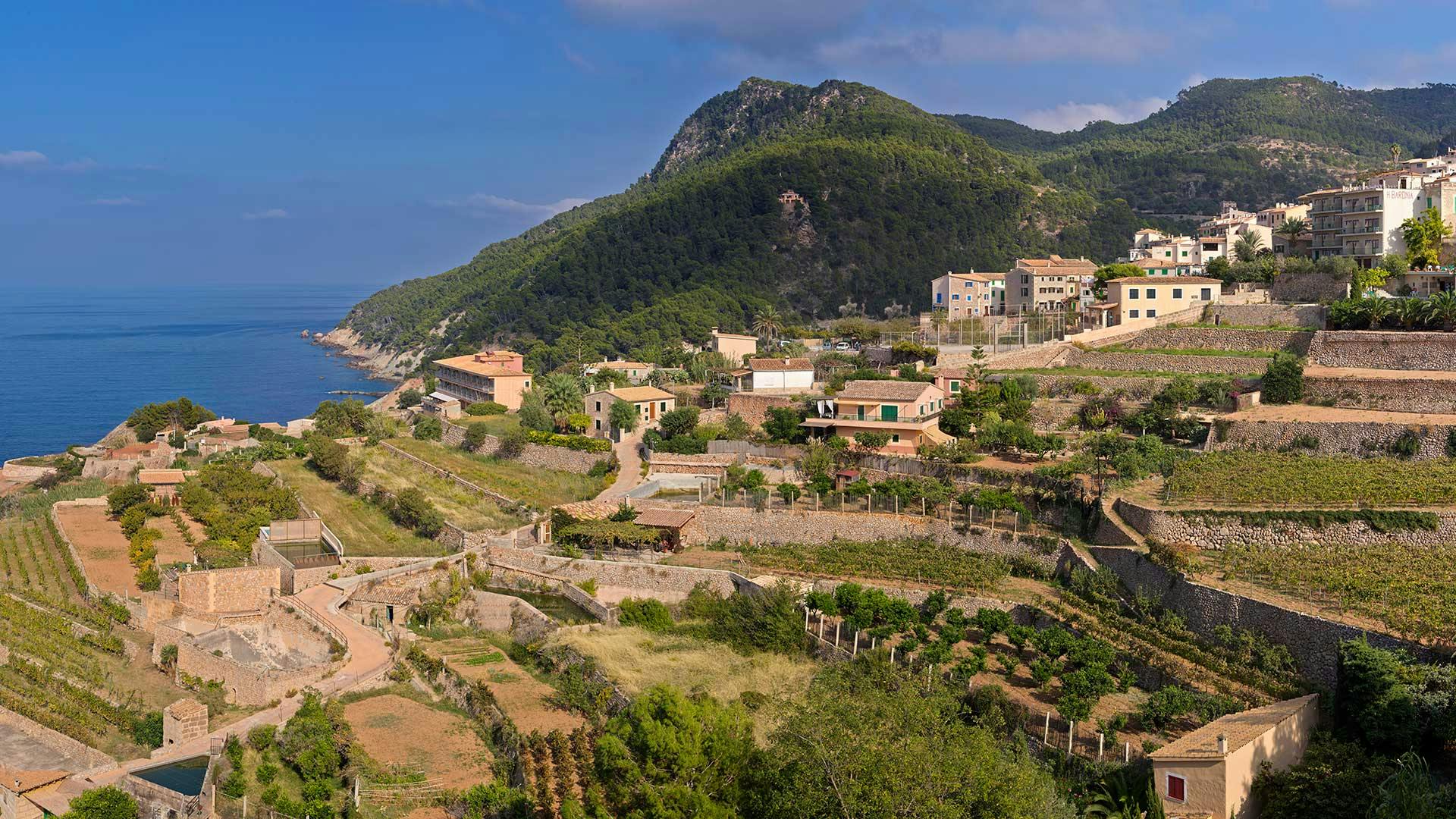 Hillside village with terraced gardens, houses, and winding paths. Dense forest-covered mountain and ocean in the background.