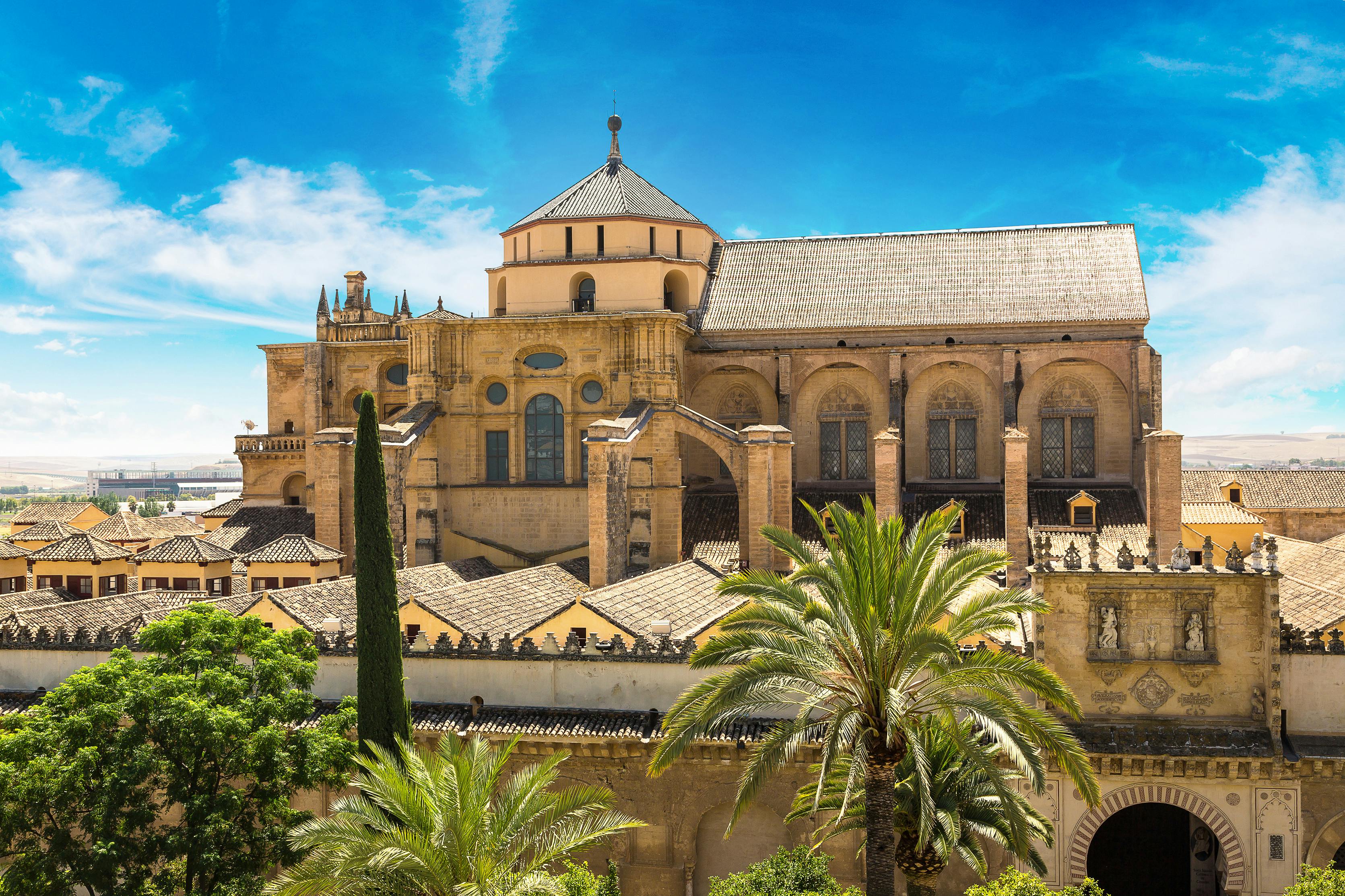 Storico edificio in pietra con finestre ad arco, una cupola e palme in primo piano sotto un cielo blu intenso.