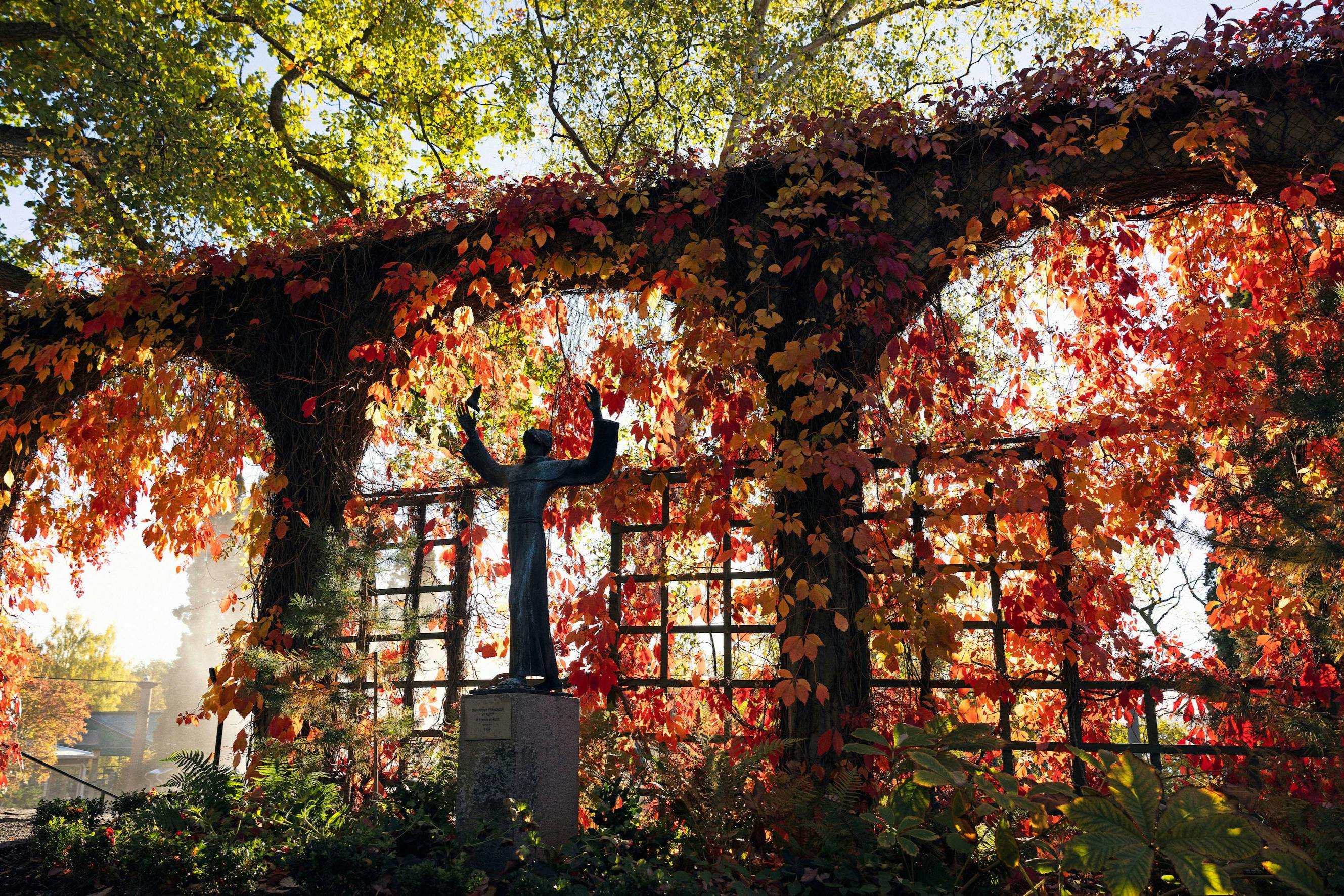 Millesgården Skulpturpark