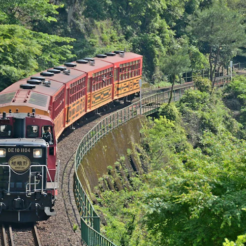 Sagano Romantic Train: One-Way Ticket