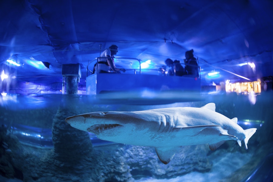 AQWA The Aquarium of Western Australia Tickets - Hellotickets