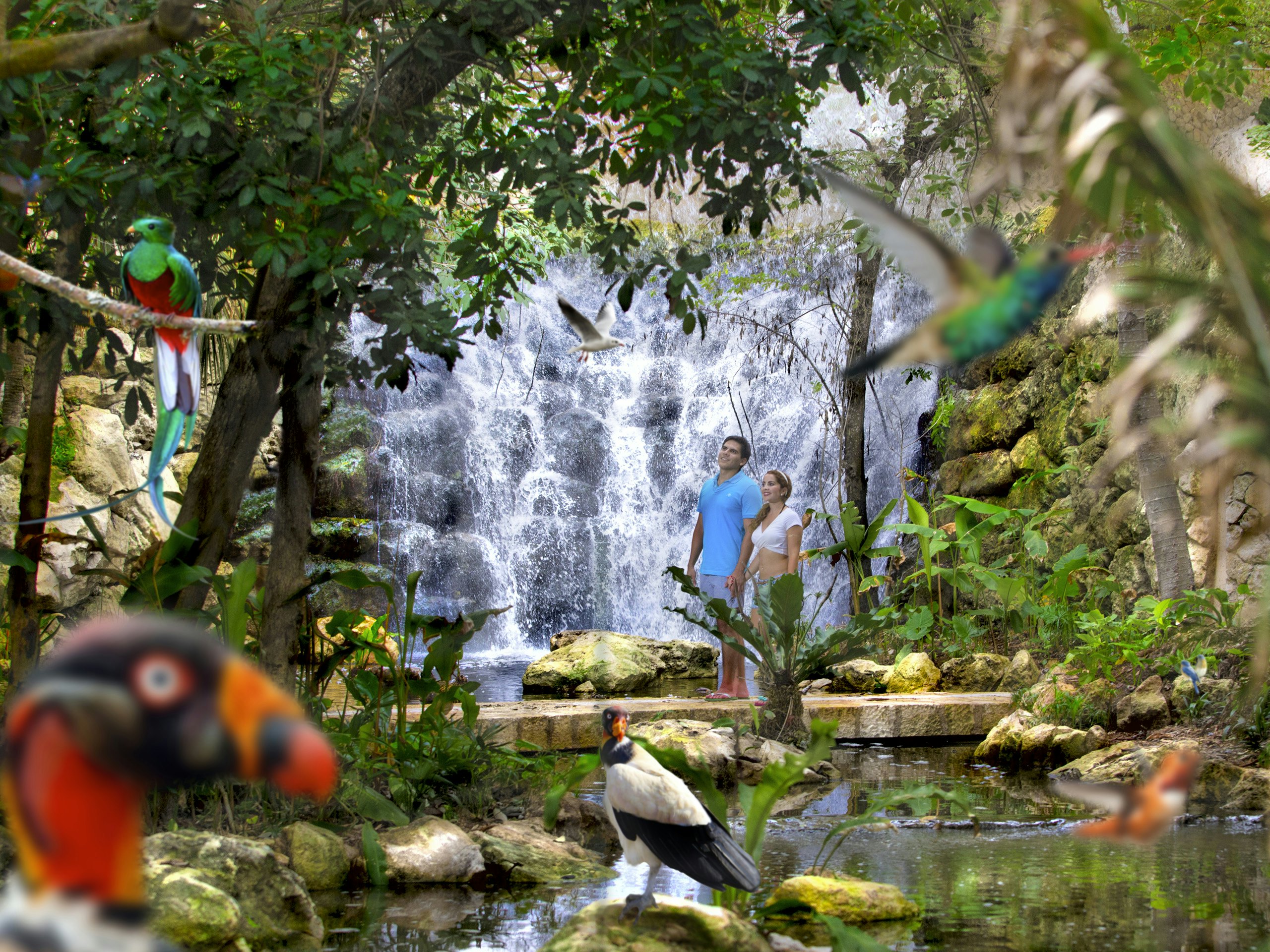 Xcaret Park: Fast Track Ticket