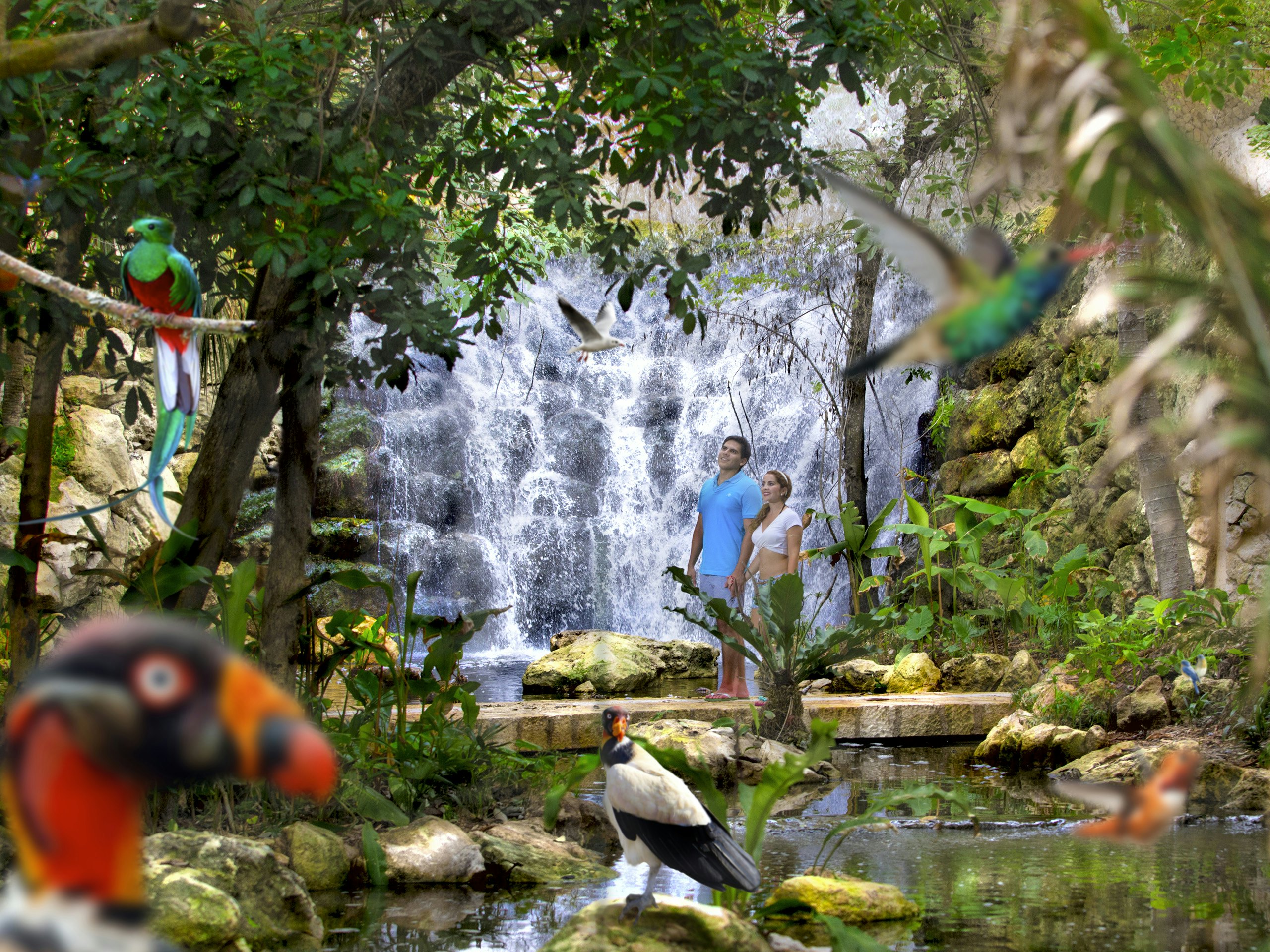 Xcaret Park: Entry Ticket
