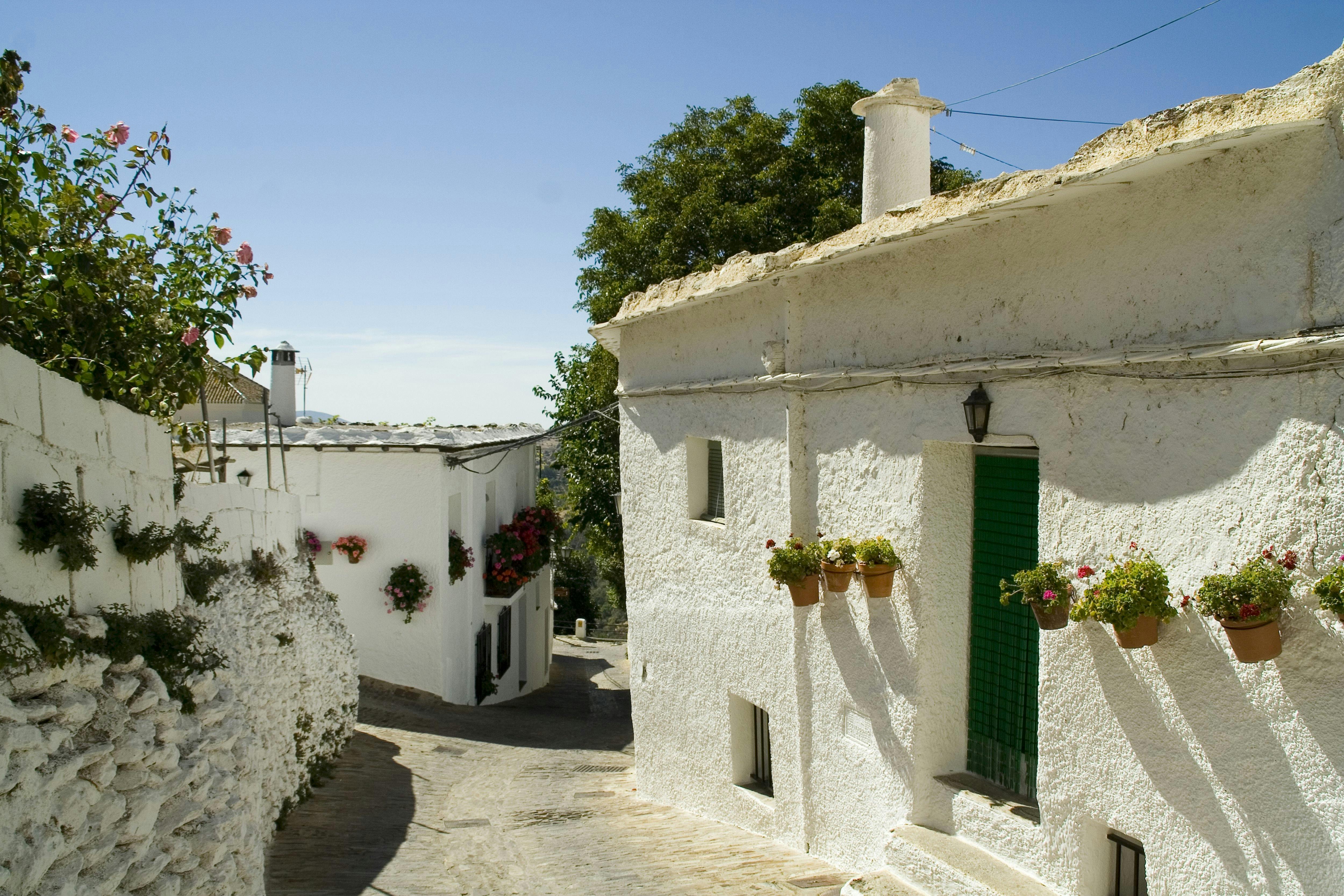 A sunlit narrow street in a white-washed village, with flowers hanging on the walls and a green door, under a clear blue sky.