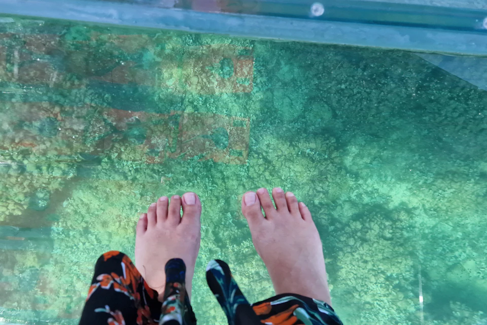 Two bare feet standing on a glass floor with a view of the sea and coral below.