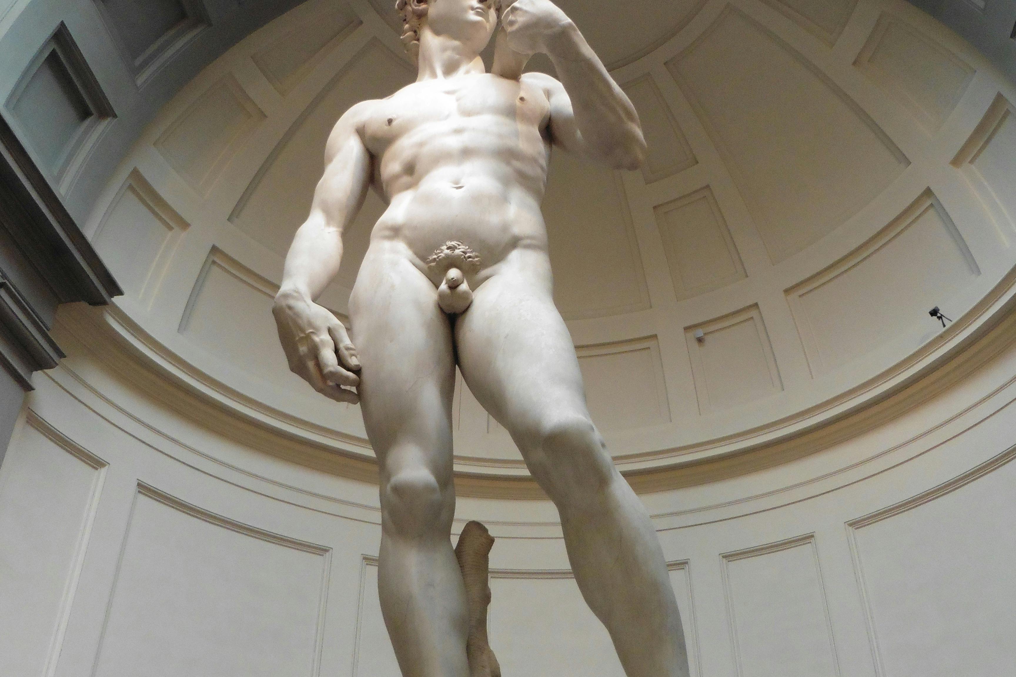 Le David de Michel-Ange