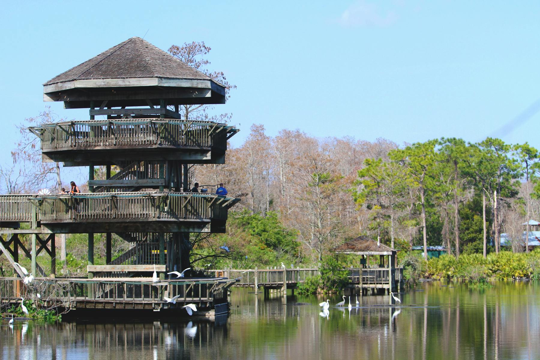 Multi-level wooden observation deck overlooks a peaceful lake with white birds, surrounded by trees and wooden walkways.
