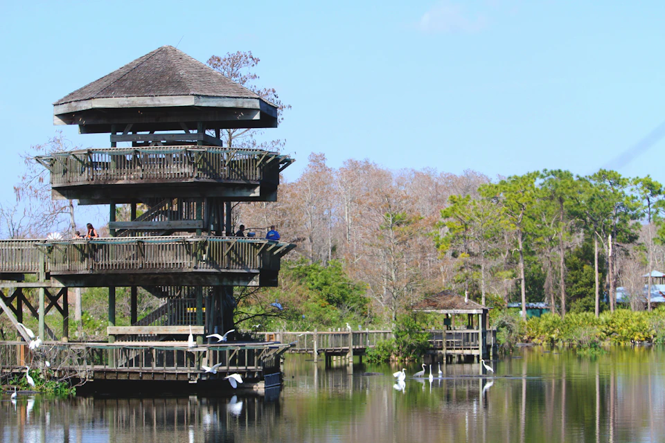 Multi-level wooden observation deck overlooks a peaceful lake with white birds, surrounded by trees and wooden walkways.