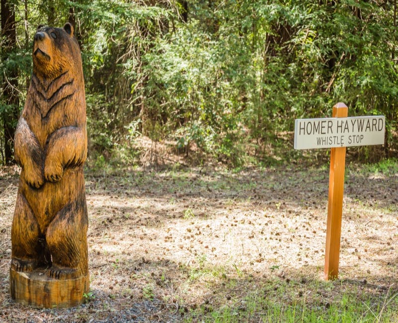 Una scultura di orso in legno si trova accanto a un cartello con scritto "Homer Hayward Whistle Stop" in un'area boschiva.