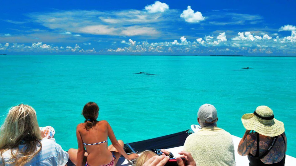 Two people on a boat observing clear turquoise water with a fin visible in the distance, under a partly cloudy sky.