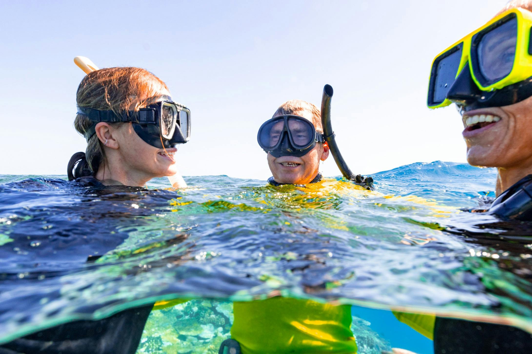 Great Barrier Reef & MOUA: Boat Tour + Snorkeling + Lunch 3