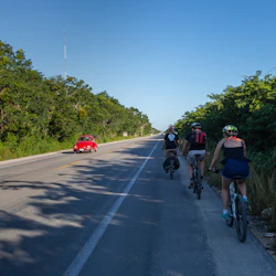 Tulum & 2 Cenotes Trail: Bike Tour + Lunch 4