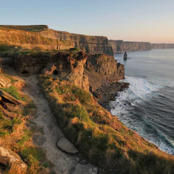Cliffs of Moher & Aillwee Cave: Day Tour from Dublin + Bird of Prey Experience 2