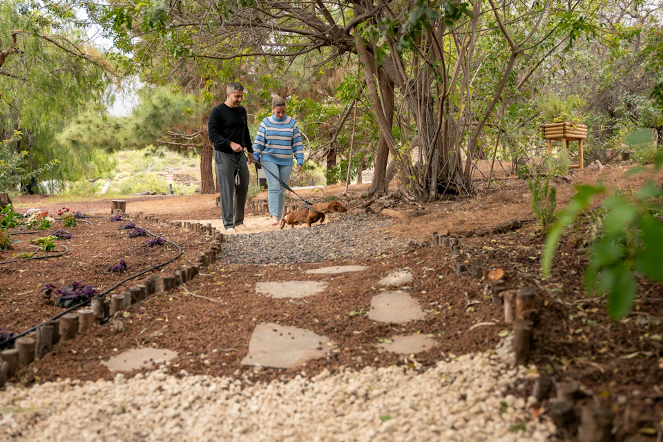 Two people walking a small dog on a leash along a tree-lined path in a garden setting.