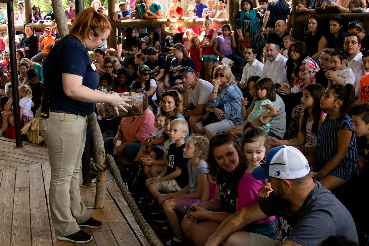 En præsentationsvært viser en genstand til et siddende publikum i udendørs omgivelser. Publikum omfatter voksne og børn, der følger opmærksomt med.