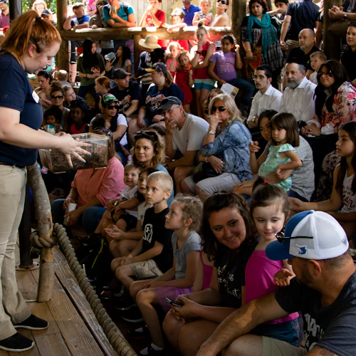 Zoo Atlanta: Entry Ticket - Photo 12