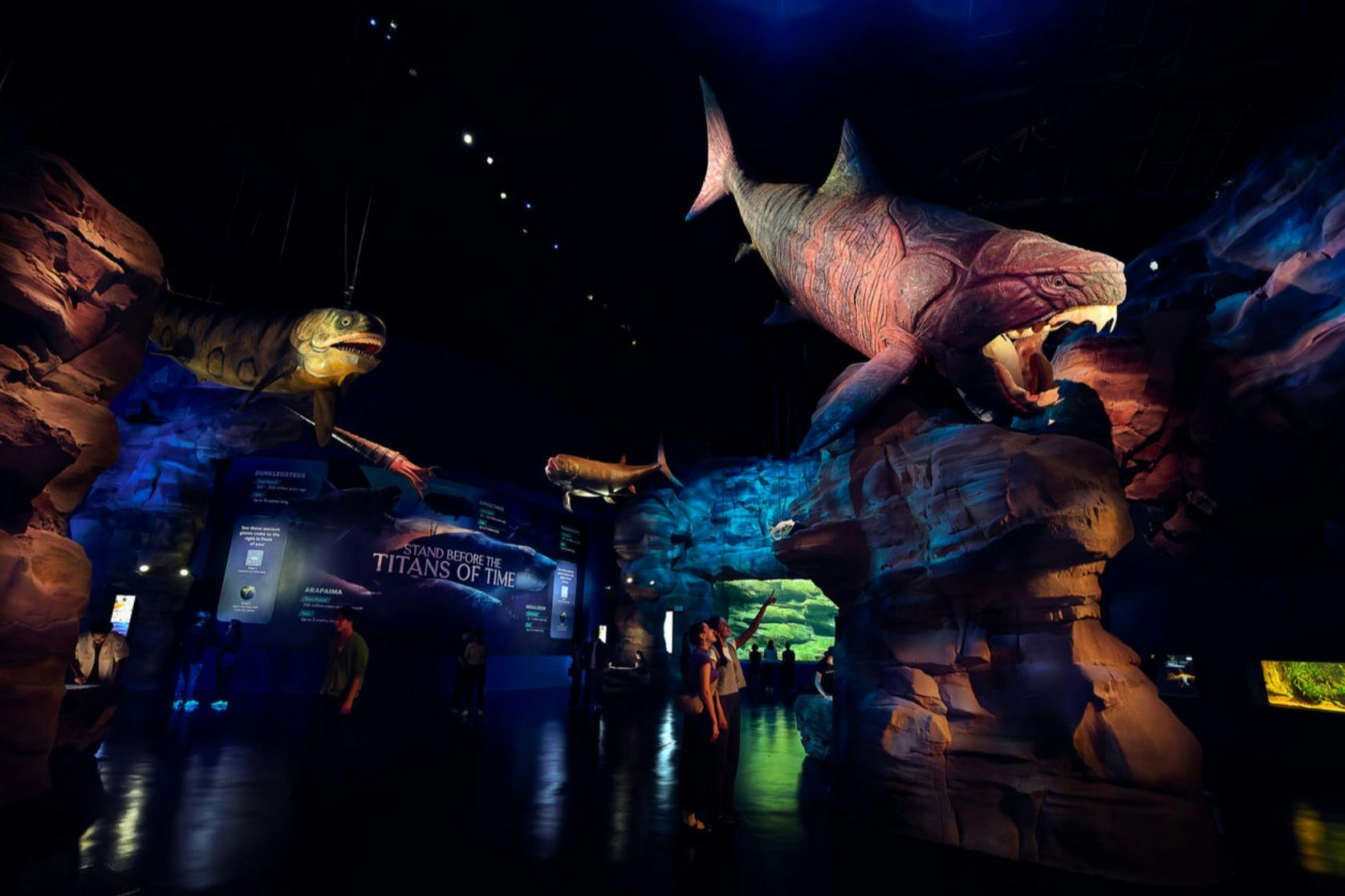 Singapore Oceanarium: Entry Ticket in Singapore – Tiqets