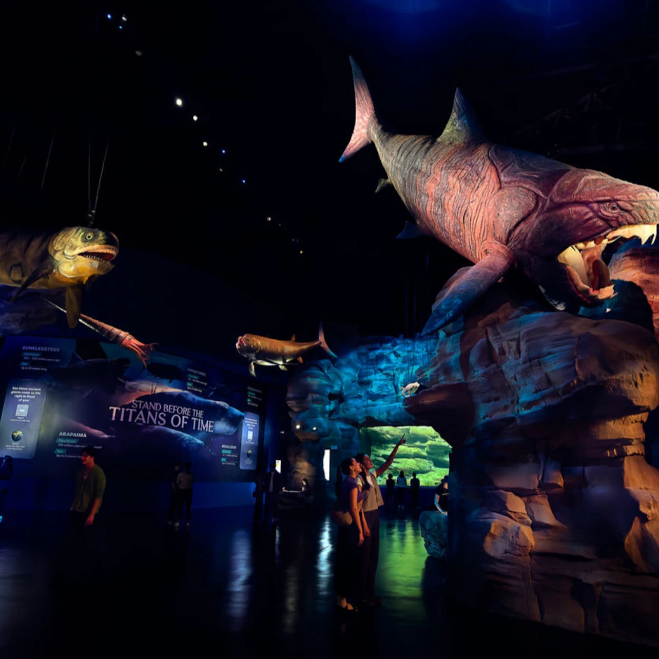 Singapore Oceanarium: Entry Ticket in Singapore β Tiqets