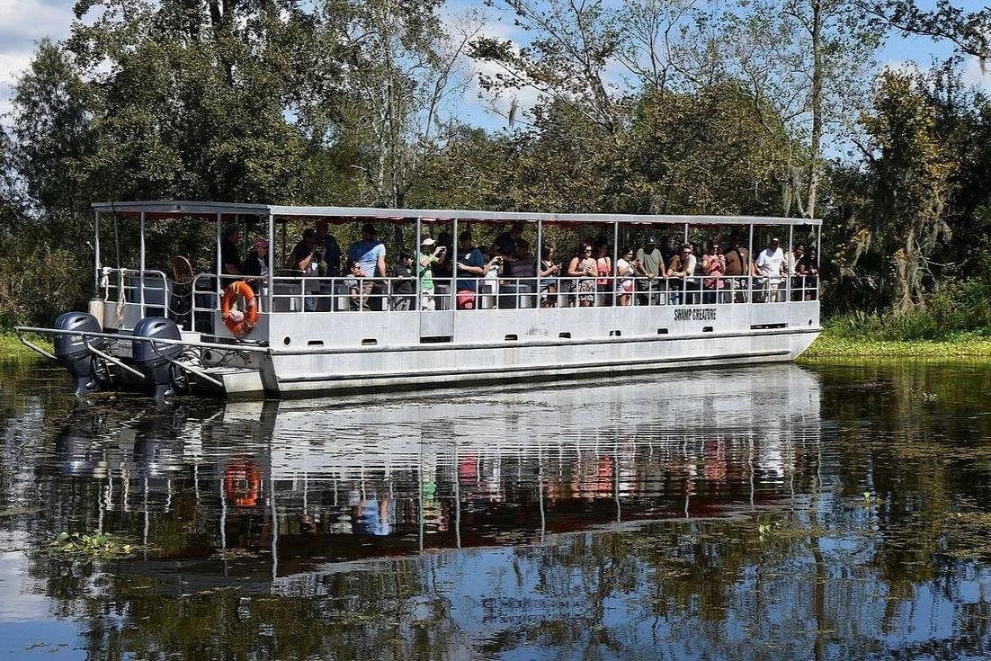 New Orleans: Guided Pontoon Boat Swamp Tour