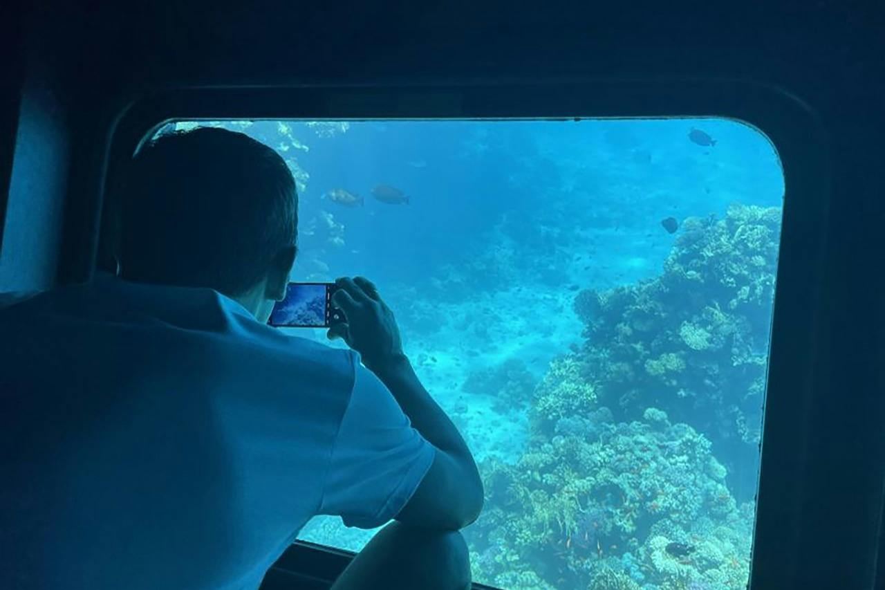 A person in a white shirt taking a photo of underwater coral and fish through a glass window.