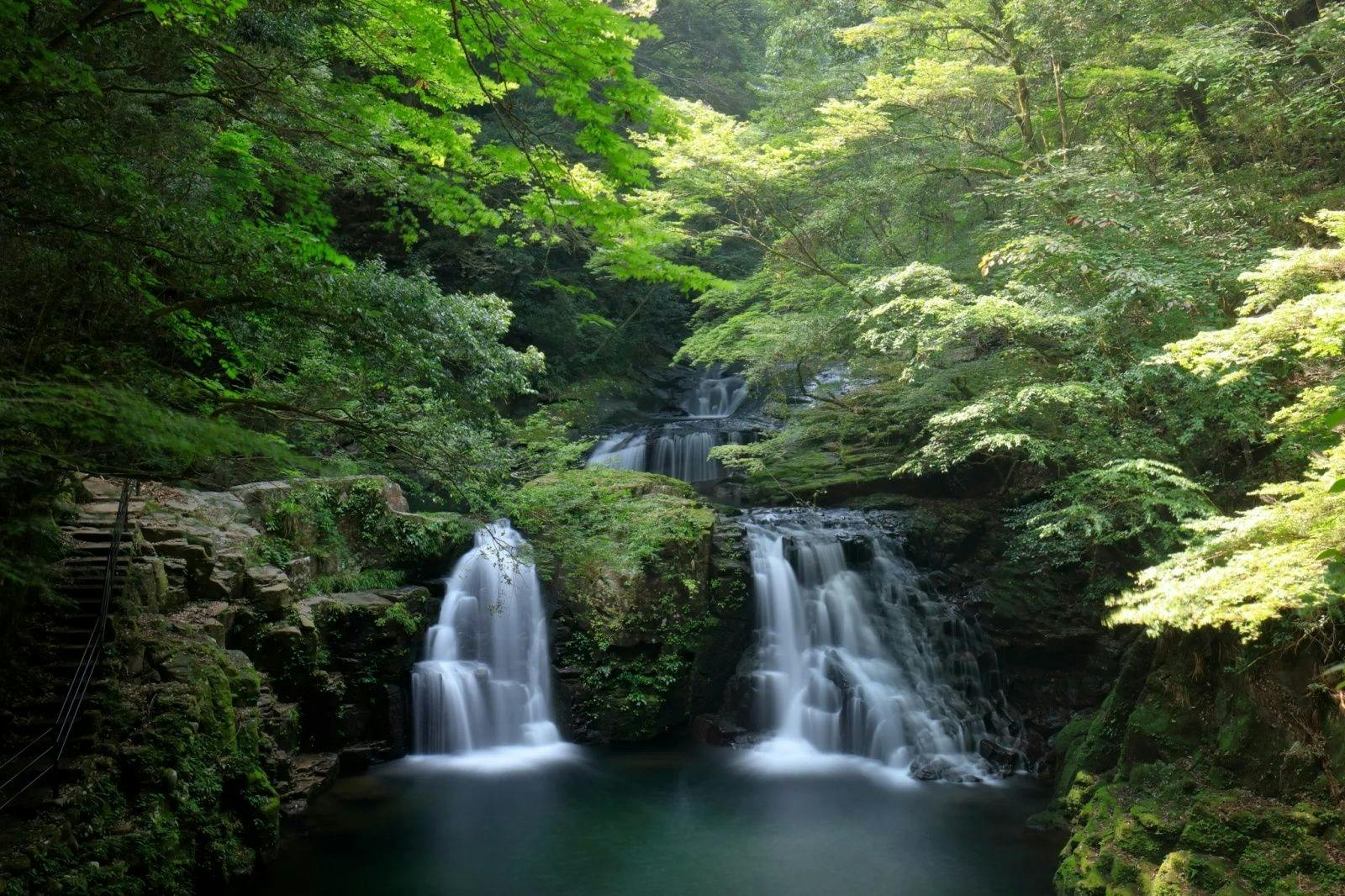 울창한 푸른 단풍과 바위로 둘러싸인 두 개의 계단식 폭포가 고요한 수영장으로 흐르고 있습니다.