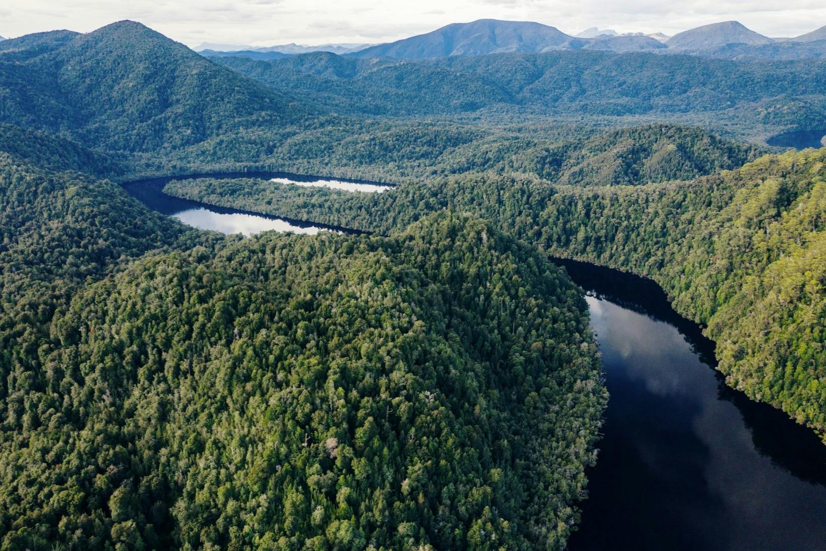 A lush forested landscape with hills and a winding river, set against a backdrop of distant mountains under a cloudy sky.
