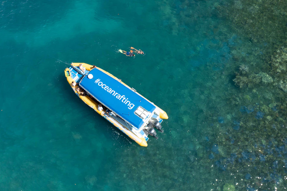 Amazing Snorkelling