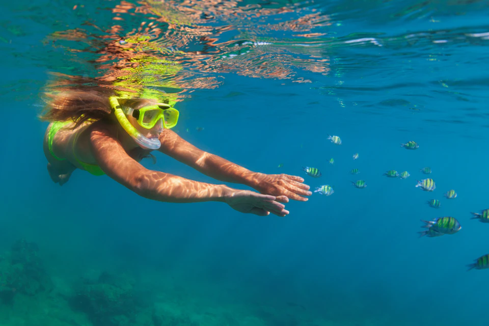 Snorkeling