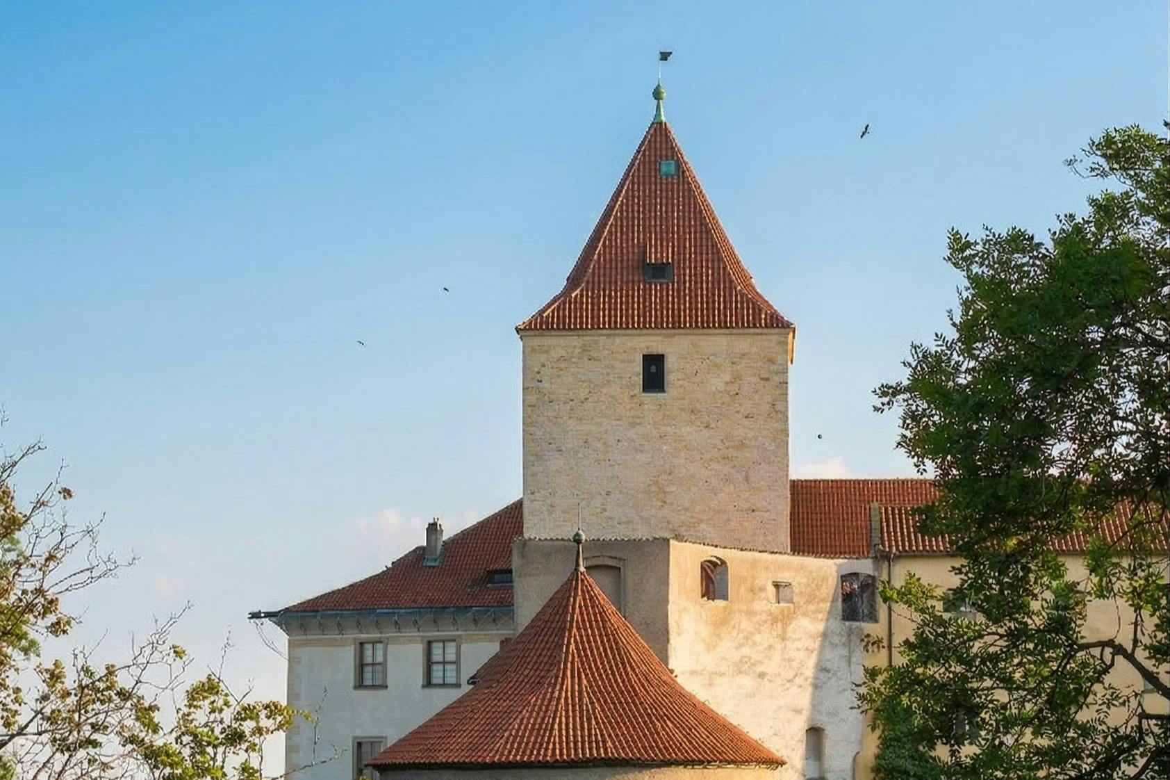 Castelo de Praga: bilhete de entrada + audioguia + Transfer de ida em miniautocarro - Photo 7