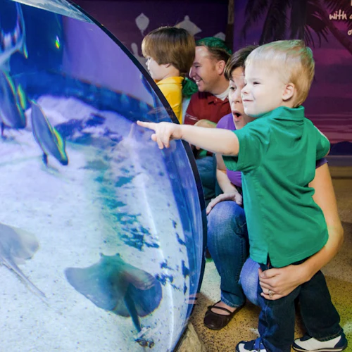 SEA LIFE Aquarium at American Dream: General Admission - Photo 5