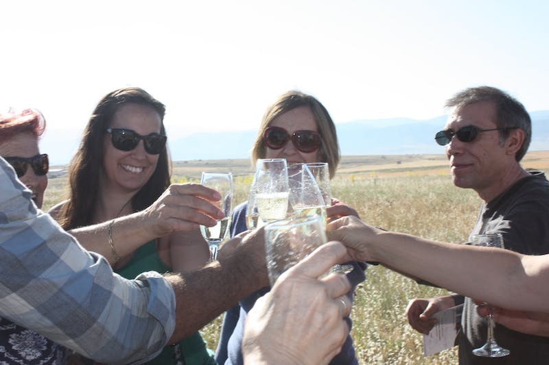 人们在户外用香槟杯敬酒，微笑着戴着太阳镜。