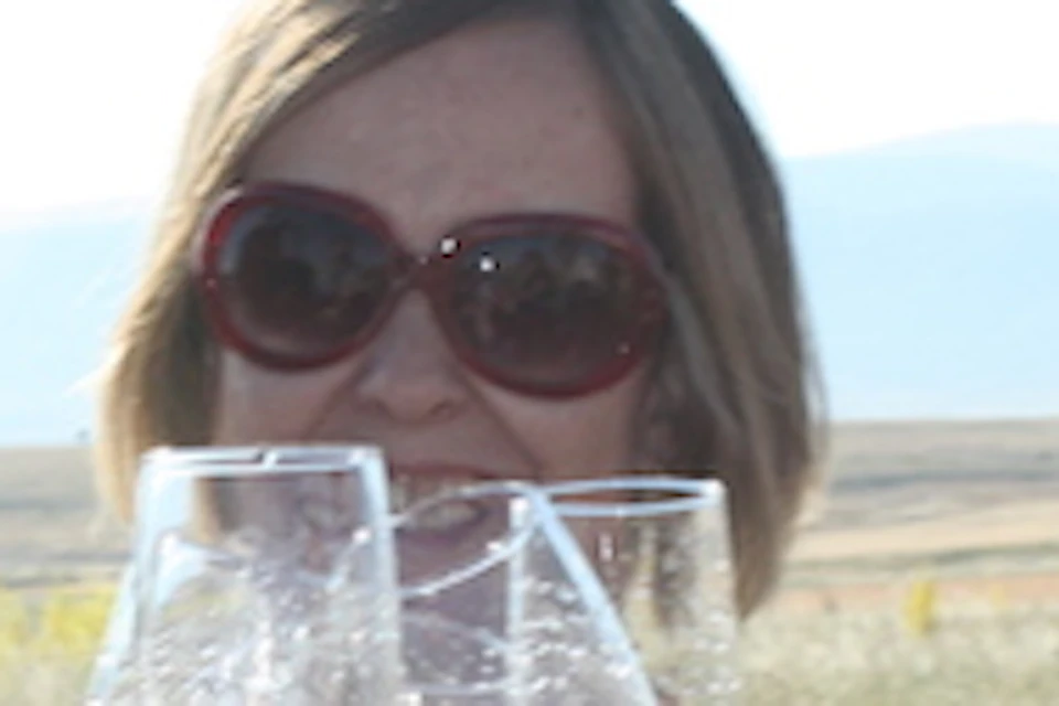 People toasting with champagne glasses outdoors, smiling and wearing sunglasses.