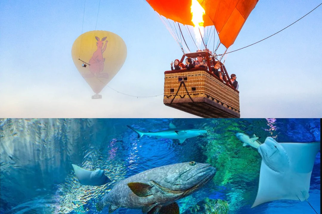 Cairns: Hot Air Balloon Flight + Transfer + Snacks + Optional Activities