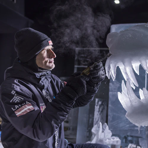 Dutch Ice Sculpture Festival: Entry Ticket - Photo 2