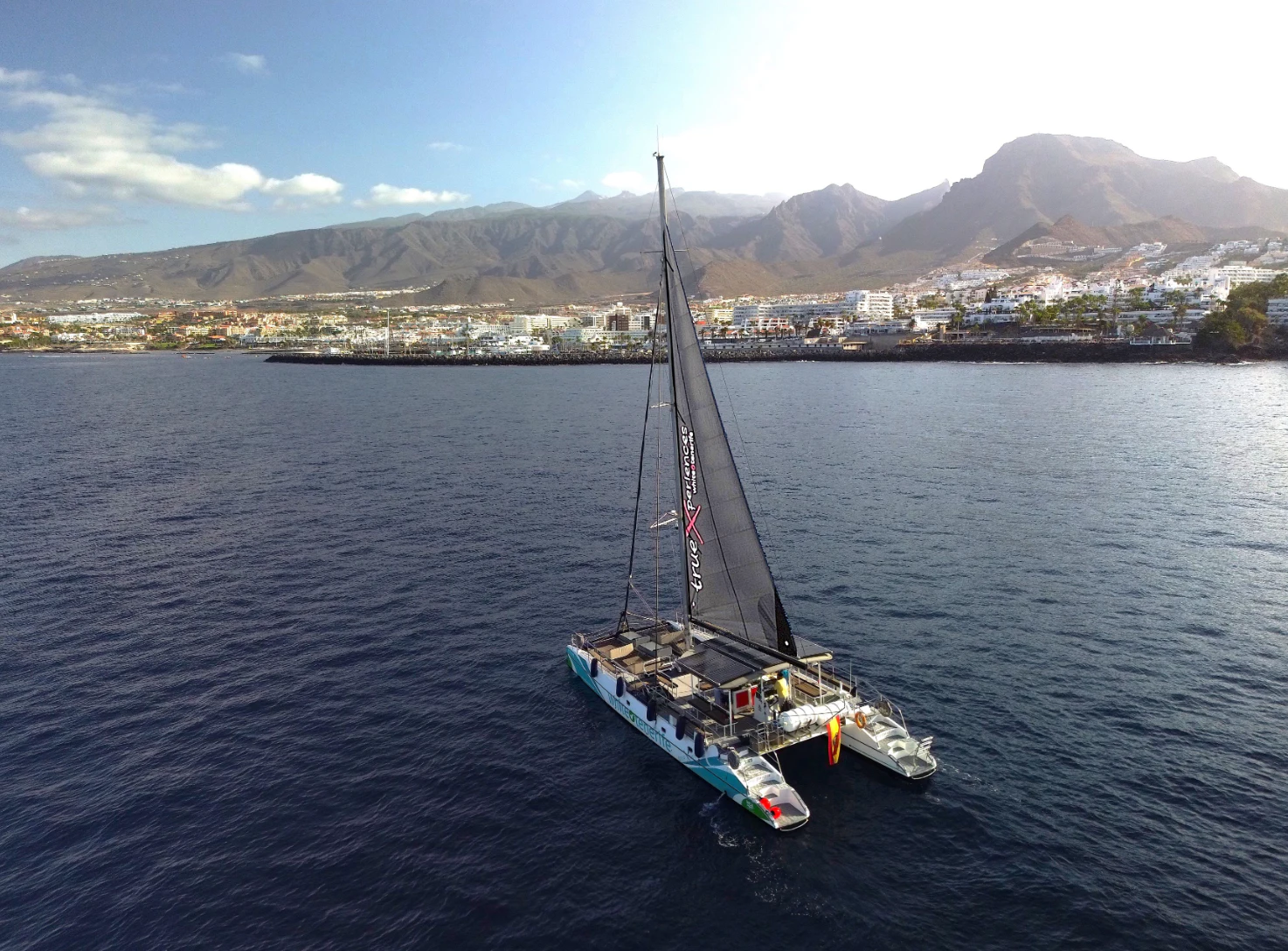 Tenerife: 3-Hour Whale & Dolphin Watching Eco-Catamaran Tour