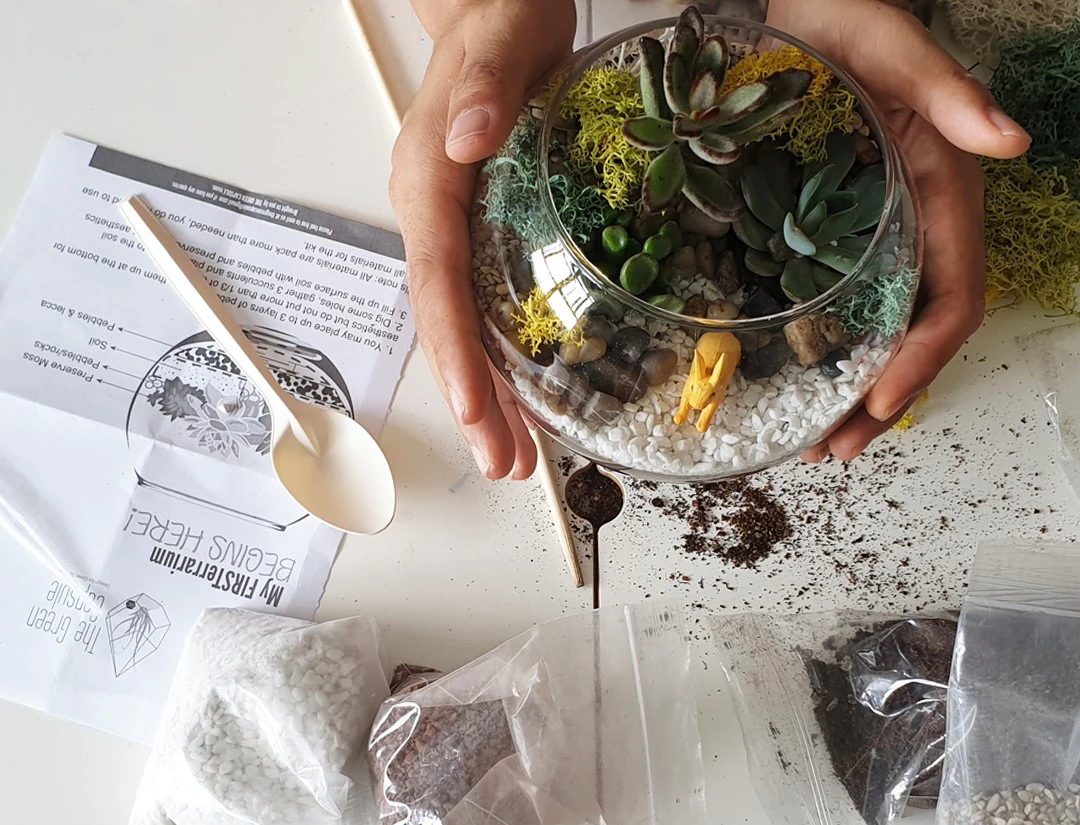 Funan & Paya Lebar Quarter: Terrarium & Airplant Greenwall Workshop