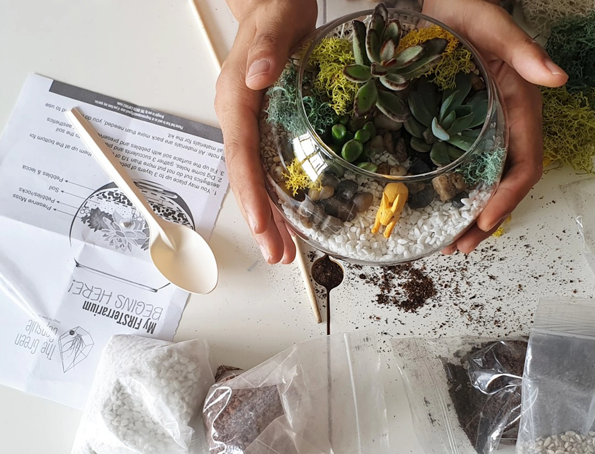 Hands holding a glass terrarium with succulents and decorations, surrounded by materials for crafting it.