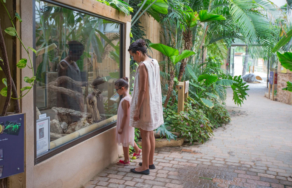 Woman and child stand in front of a glass enclosure at a zoo or botanical garden, observing plants and animals inside.