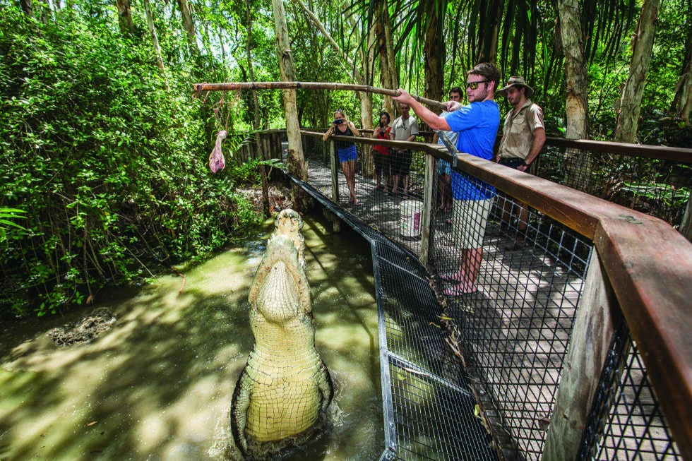 Hartley's Crocodile Adventures: Entry Ticket
