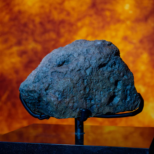 Museu de História Natural de Abu Dhabi: bilhete de entrada - Photo 5