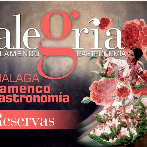 Tablao Alegría Málaga: Espectáculo Flamenco