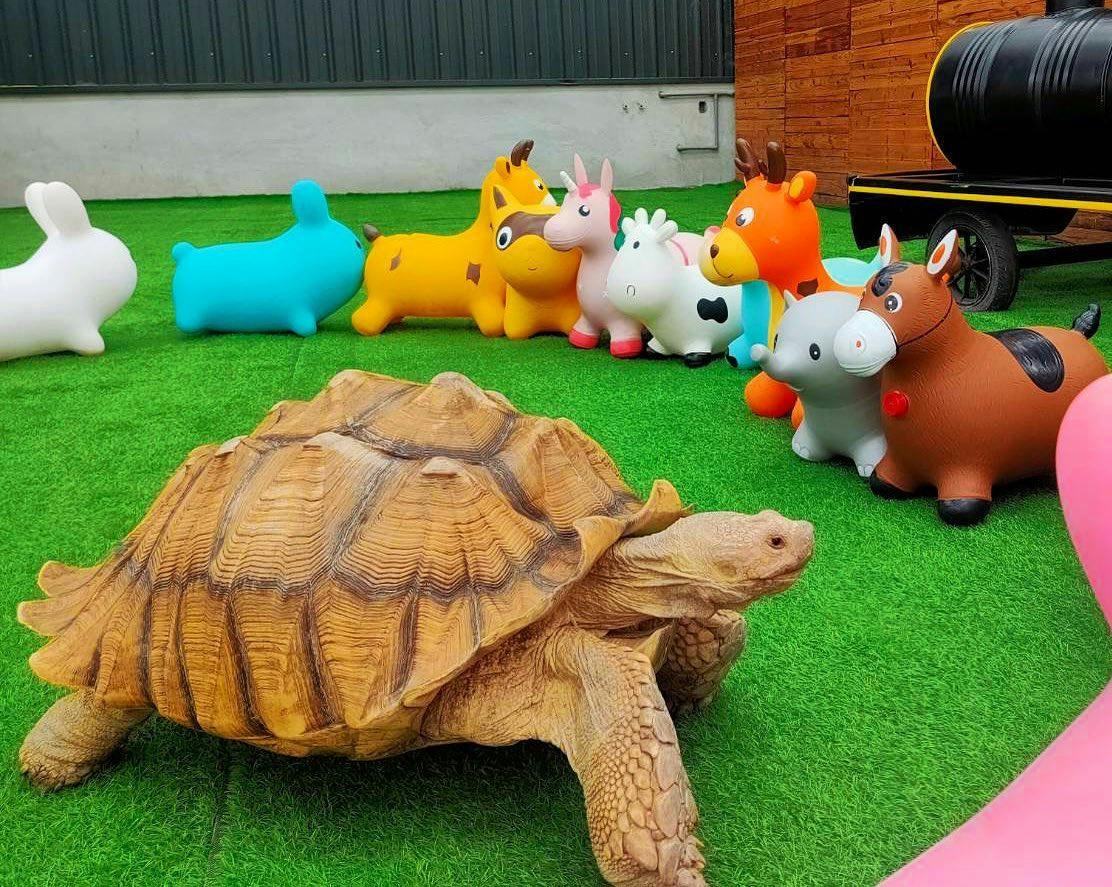 A tortoise on green artificial grass near colorful inflatable animal toys in an outdoor setting.