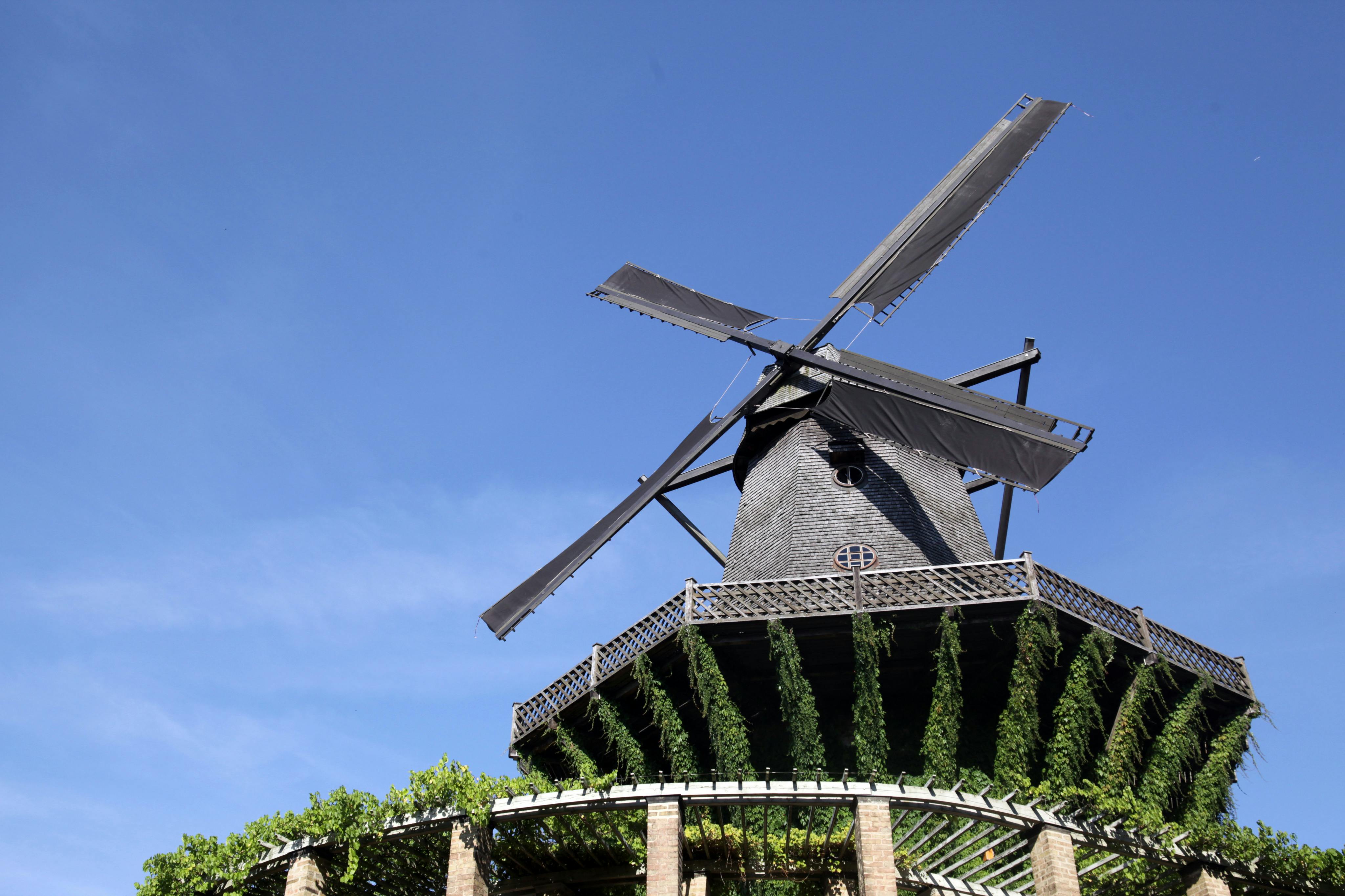 发现波茨坦 Sanssouci桔园的风车