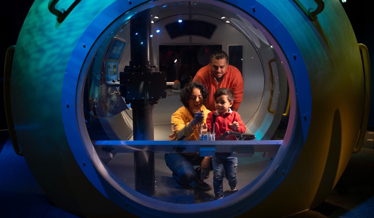 New York Aquarium: Entry Ticket