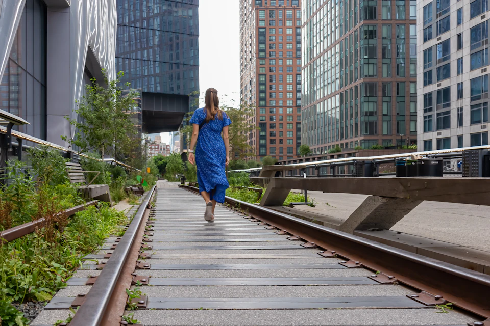 High Line, Chelsea & Hudson Yards Walking with Edge Ticket