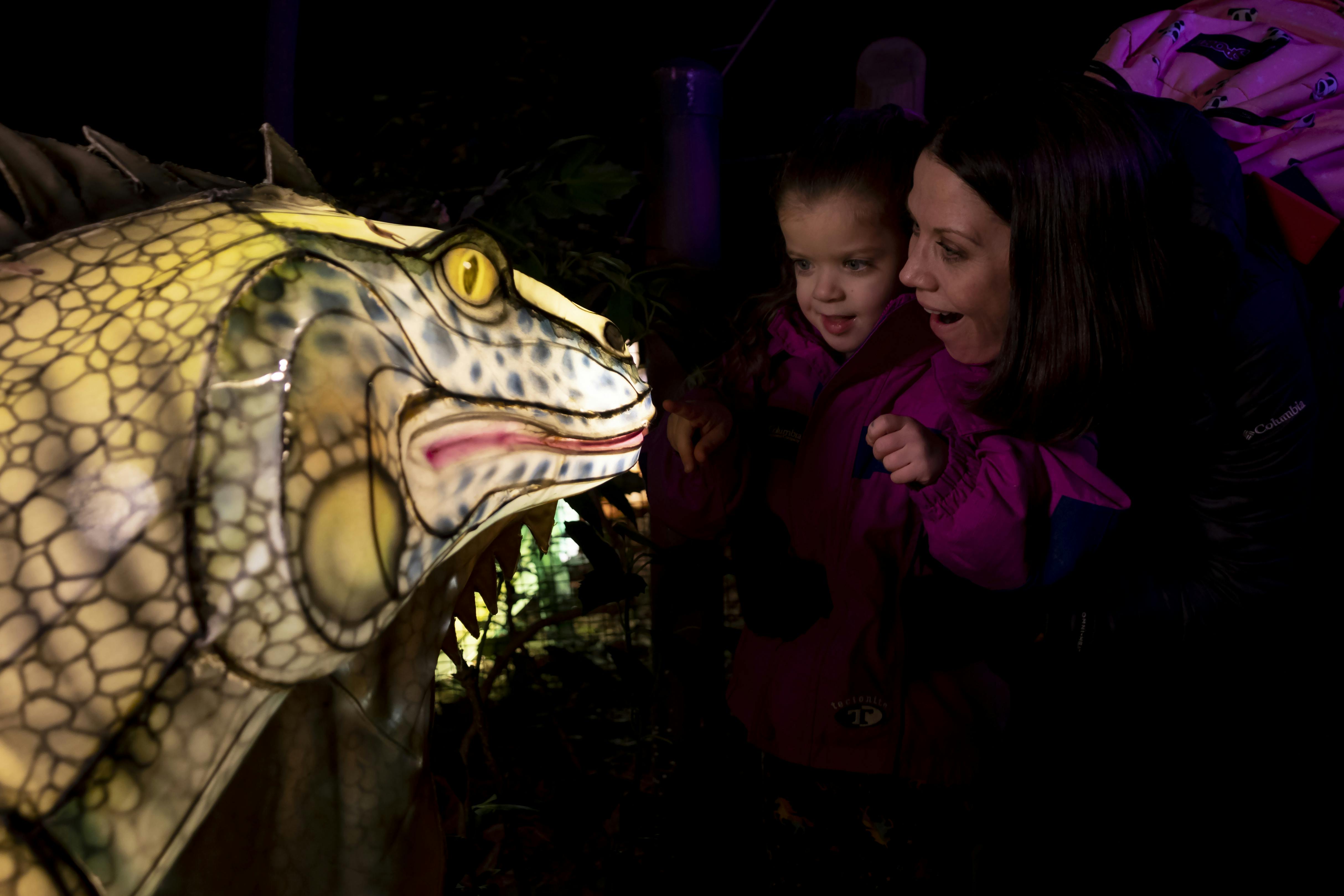 Una dona i un nen amb jaquetes morades reaccionen emocionats davant una figura de dinosaure il·luminada en la foscor.