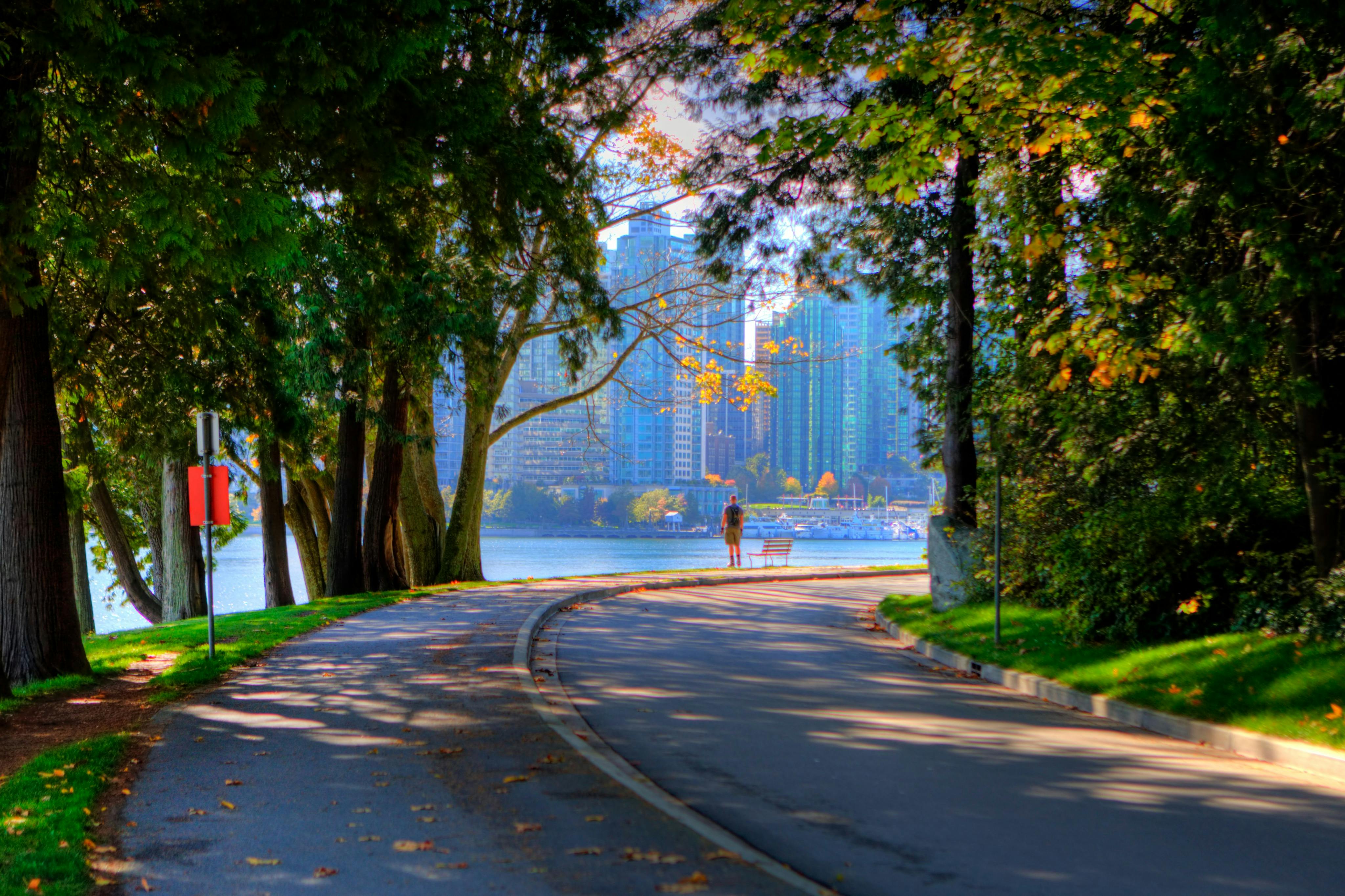 Vancouver Highlights Tour with Vancouver Lookout & Capilano Suspension