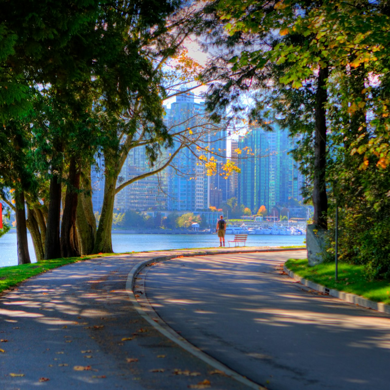 Vancouver Highlights Tour with Vancouver Lookout & Capilano Suspension Bridge - Accommodations in Vancouver