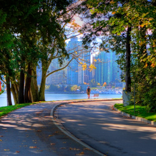 Vancouver: City Highlights Tour + Vancouver Lookout & Capilano Suspension Bridge
