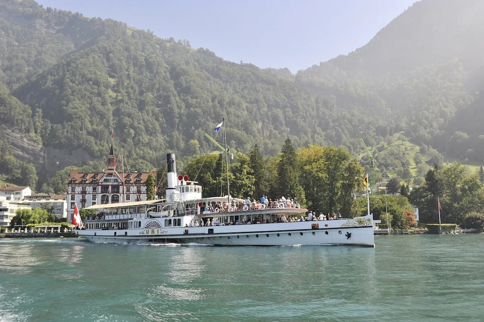 lucerne
